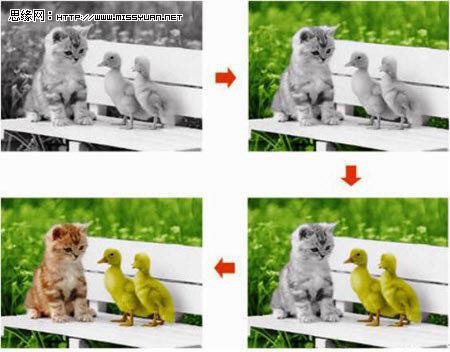 如何用Photoshop给黑白照片上色